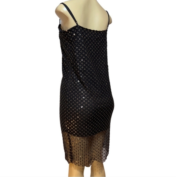 NWT GIANNI BINI Willow Mesh Dress, sz 2 - Picture 3 of 8